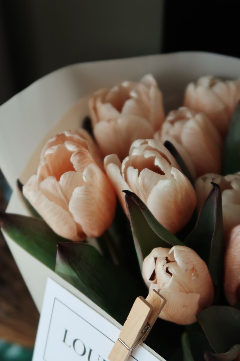Bouquet de tulipes pêche emballé de papier crème