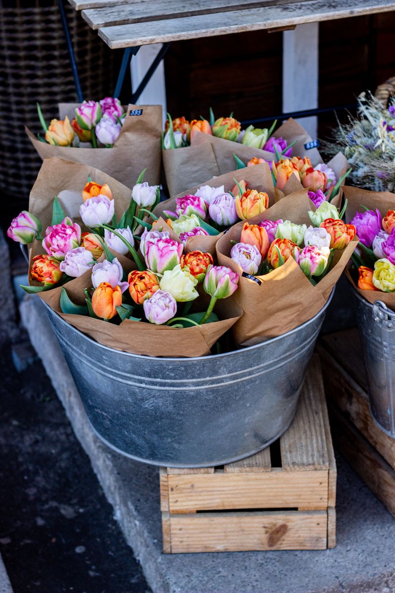 Seaux de tulipes doubles multicolores devant la boutique