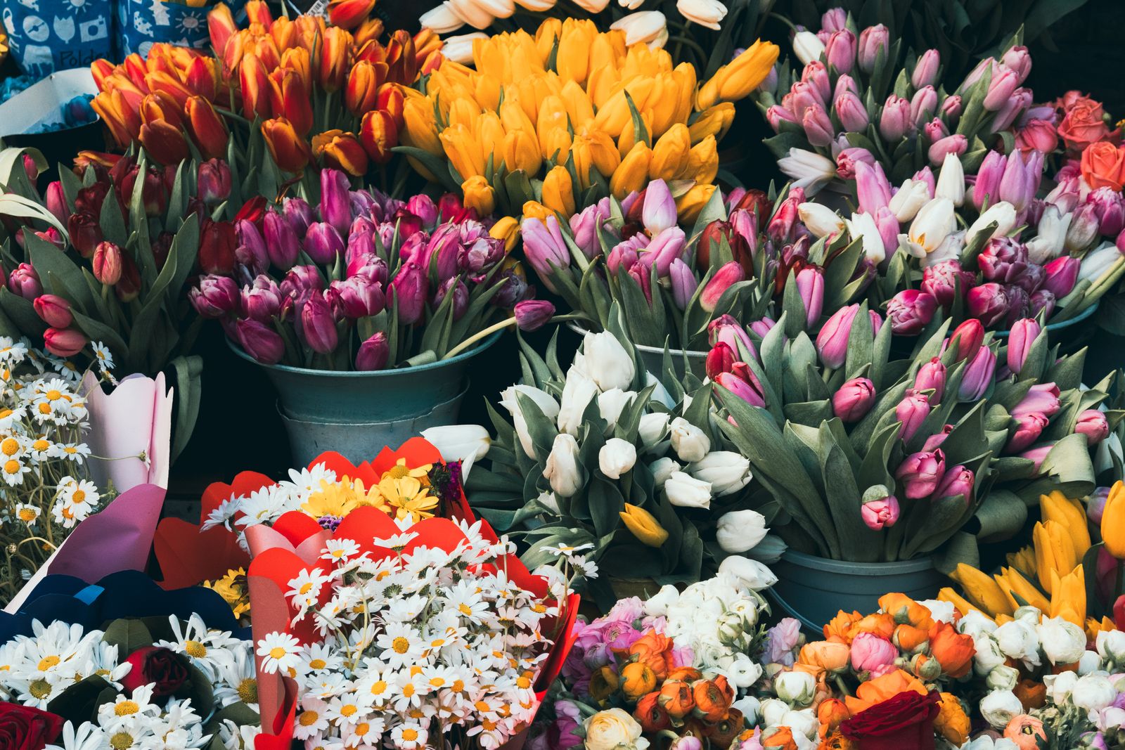 Démo Atelier Camélia — fleuriste